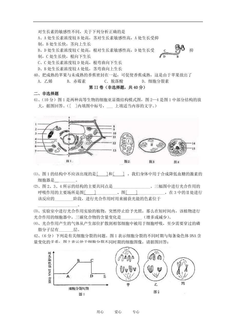 云南省2010—2011学年高二生物下学期期中考试【会员独享】.doc_第5页