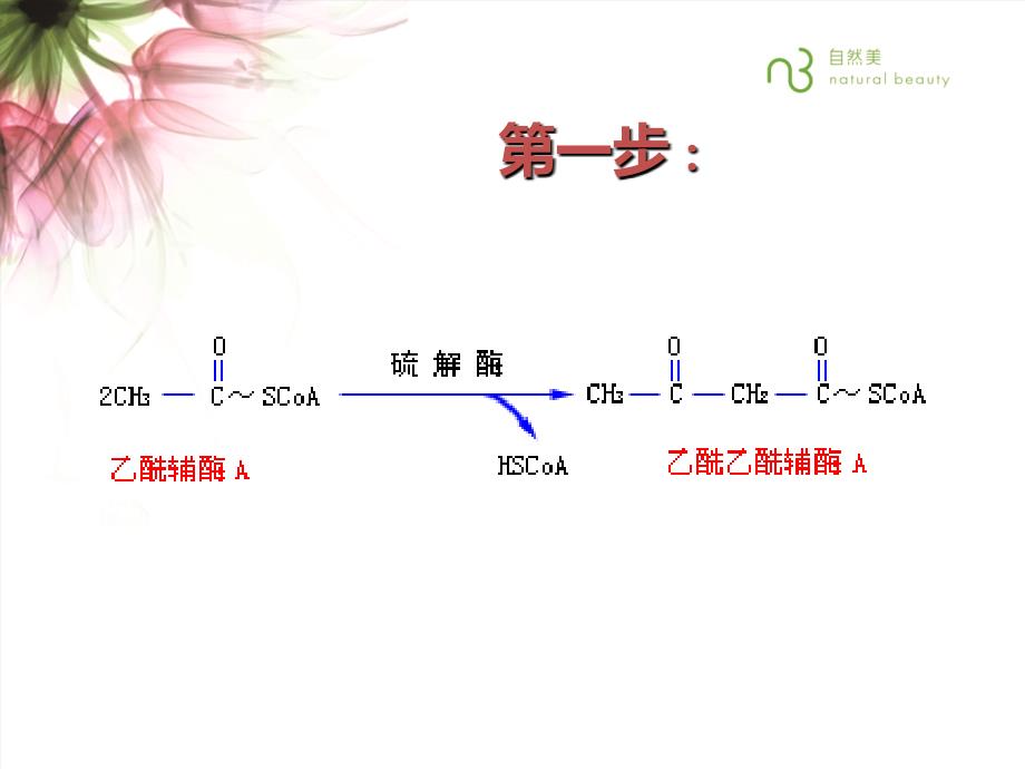 酮体生成和意义 5组_第4页