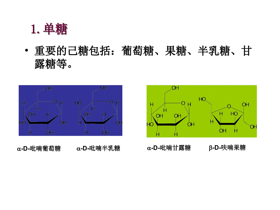 生物体中的糖类幻灯片资料_第3页