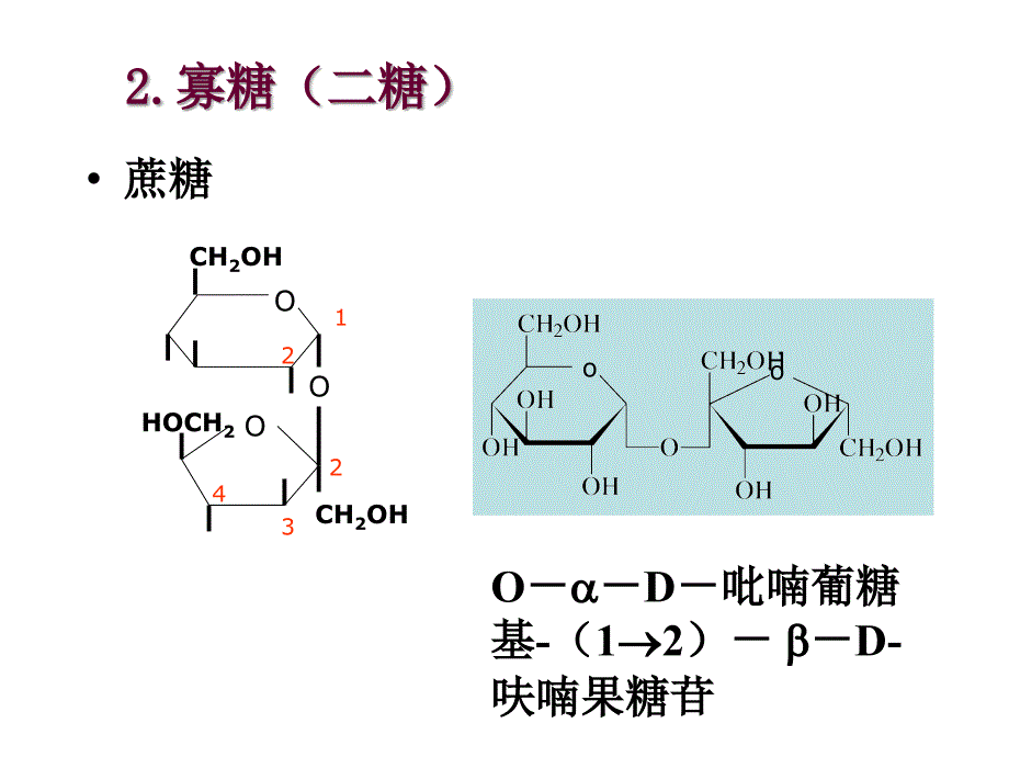 生物体中的糖类幻灯片资料_第4页