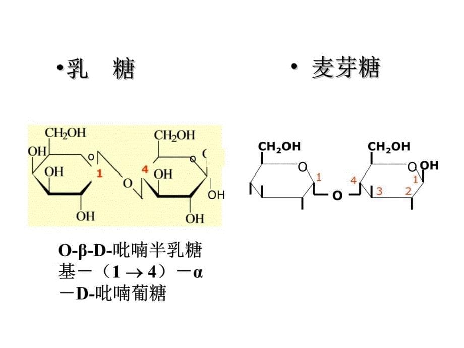 生物体中的糖类幻灯片资料_第5页