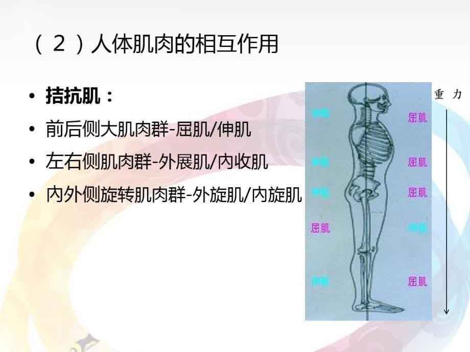 最新动作训练在特殊教育中的应用_第5页