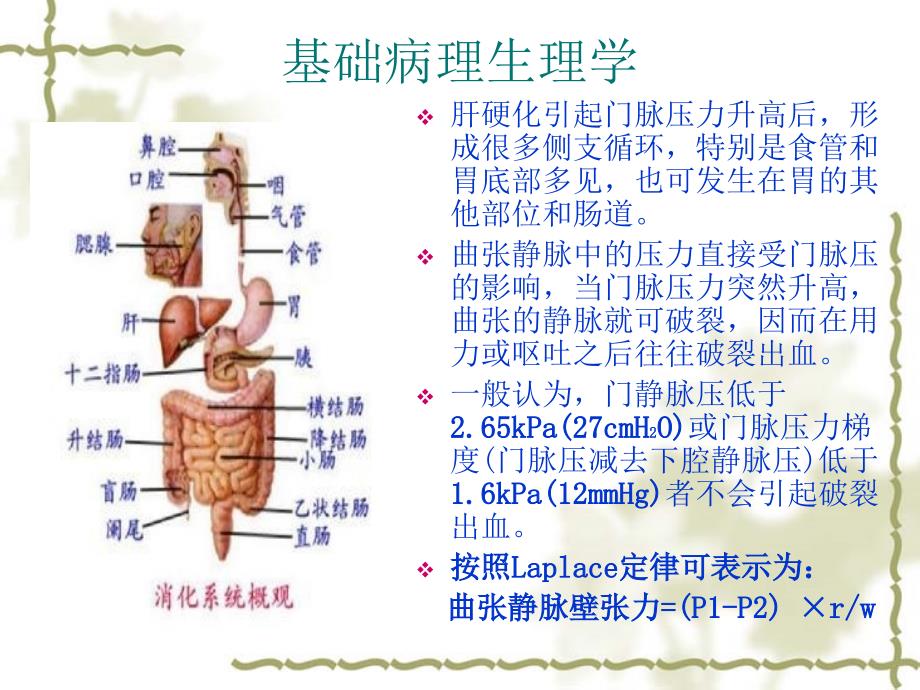 肝硬化合并上消化道出血的治疗与护理ppt课件_第4页