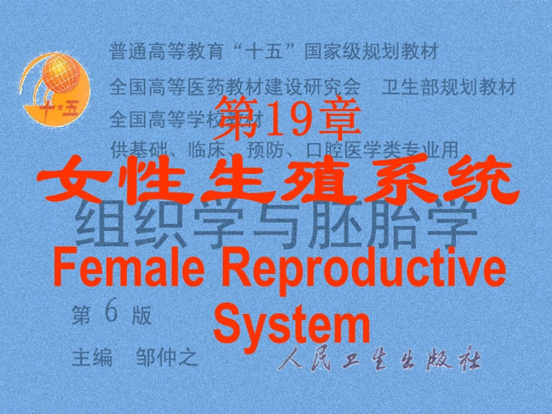 组织胚胎学19女性生殖1教程教案_第1页