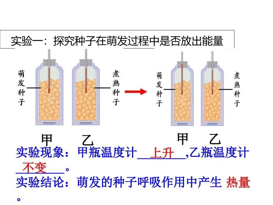 人教版2018年七上生物352绿色植物的呼吸作用ppt教学课件_第5页