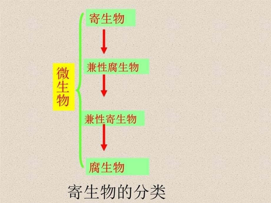 十 寄生性与致病性教学案例_第5页