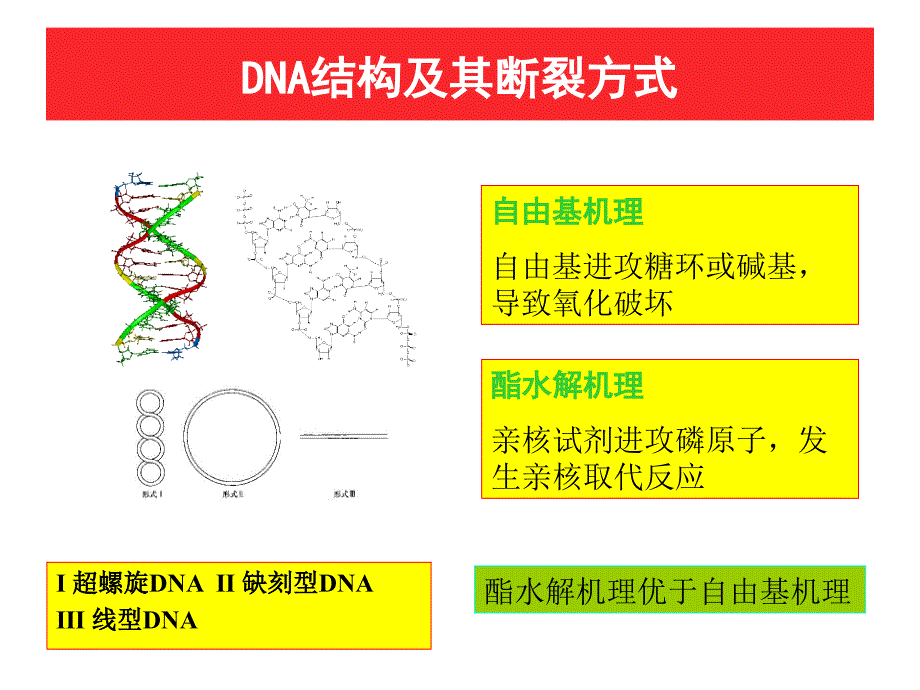 综合化学实验配位化学和生物无机化学部分教学幻灯片_第3页