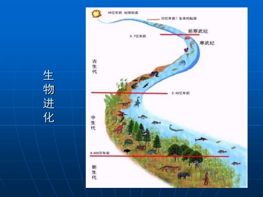 遗传学教学幻灯片_第3页