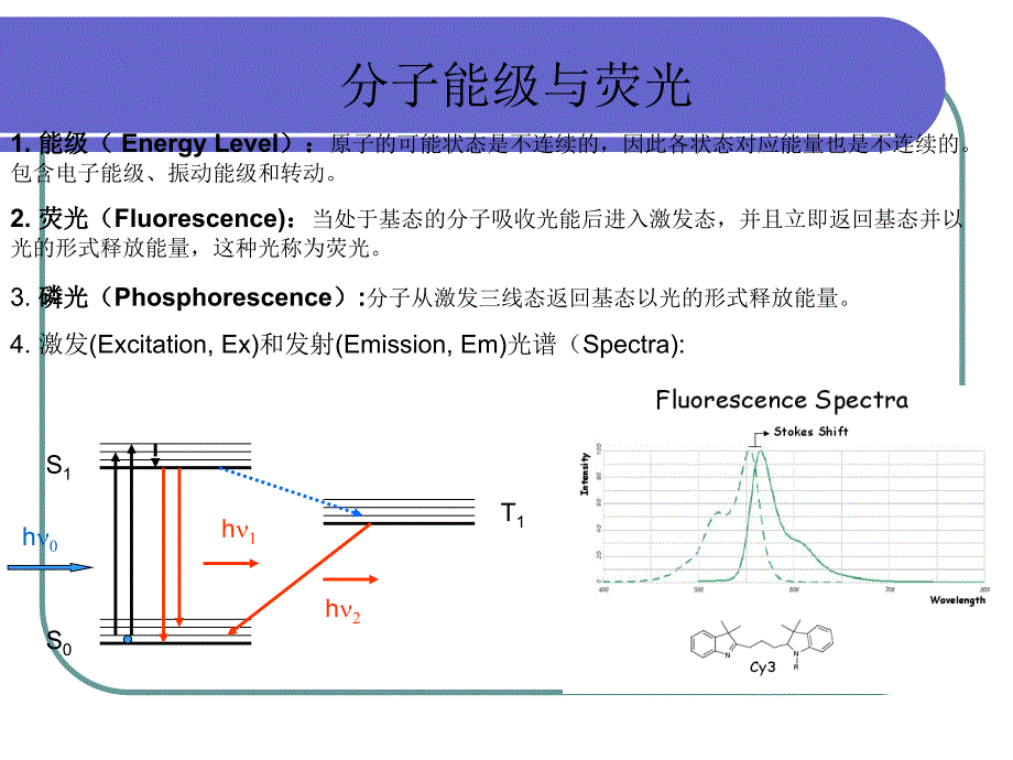 荧光共振能量转移 FERT_第2页