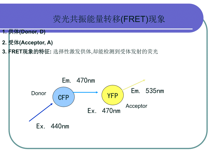 荧光共振能量转移 FERT_第3页