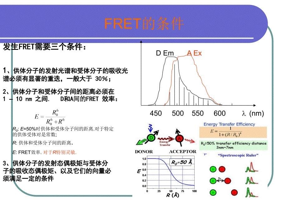 荧光共振能量转移 FERT_第5页