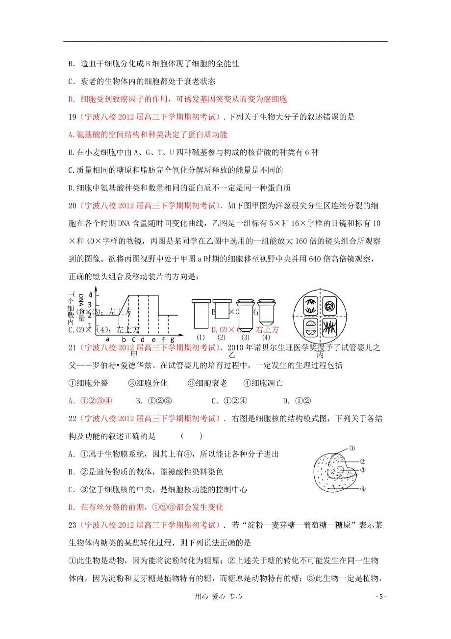 2012届高三生物 下学期期初试题汇编 分子与细胞1.doc_第5页