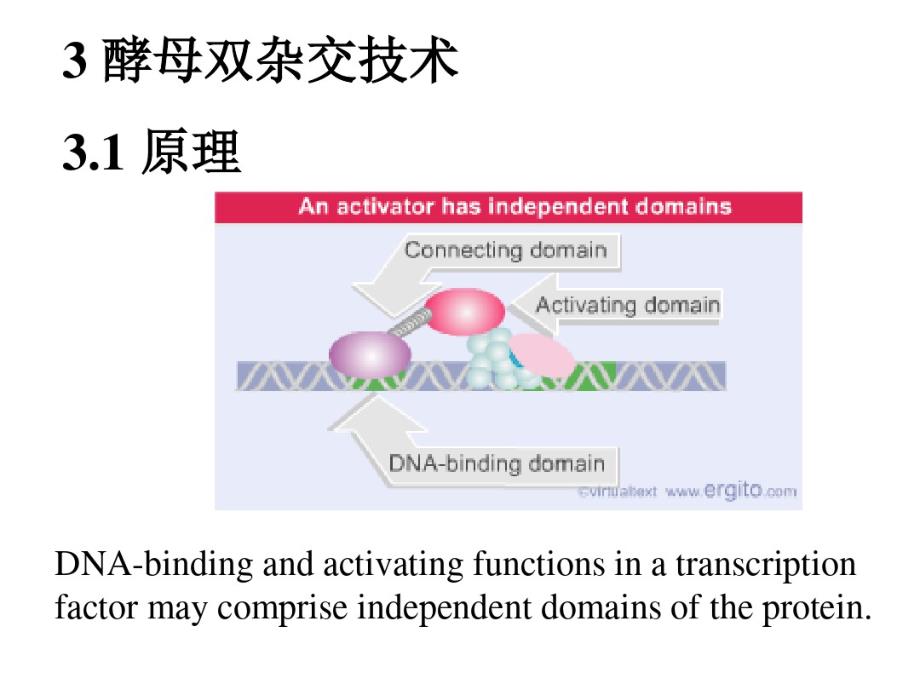 最新蛋白互作研究方法_第4页