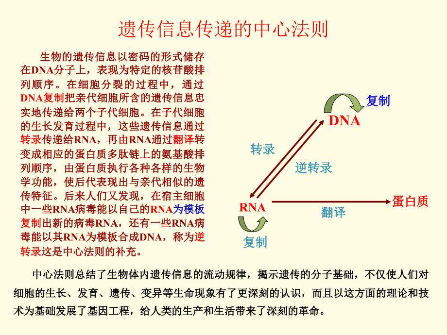 生物化学要点教学讲义_第3页