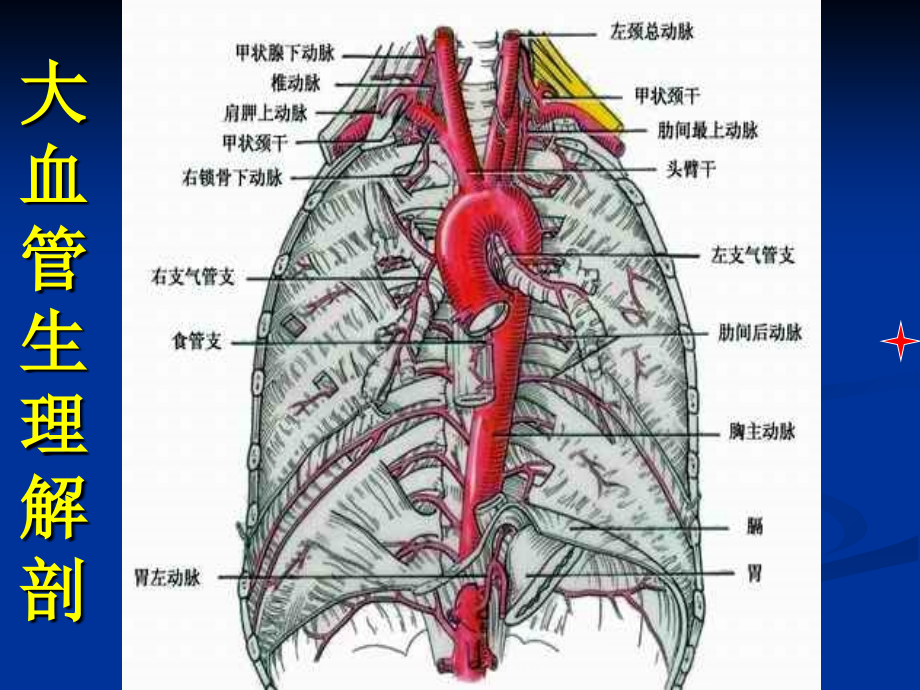 主动脉夹层护理--罗湘玉--10-22教学讲义_第4页