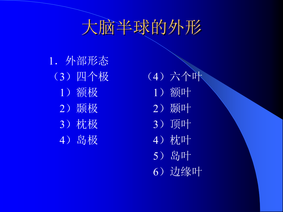 大脑的解剖生理及定位诊断ppt课件_第3页