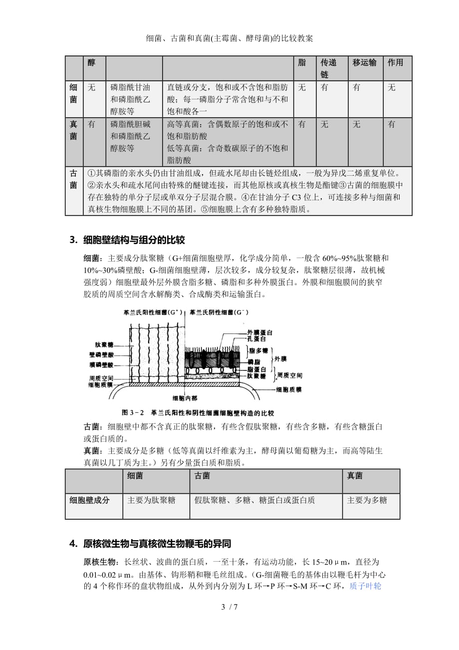 细菌古菌和真菌主霉菌酵母菌的比较教案_第3页