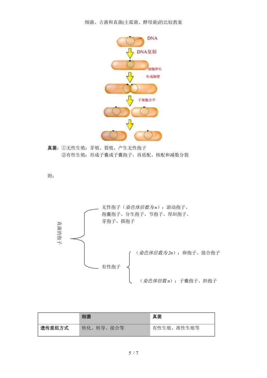 细菌古菌和真菌主霉菌酵母菌的比较教案_第5页