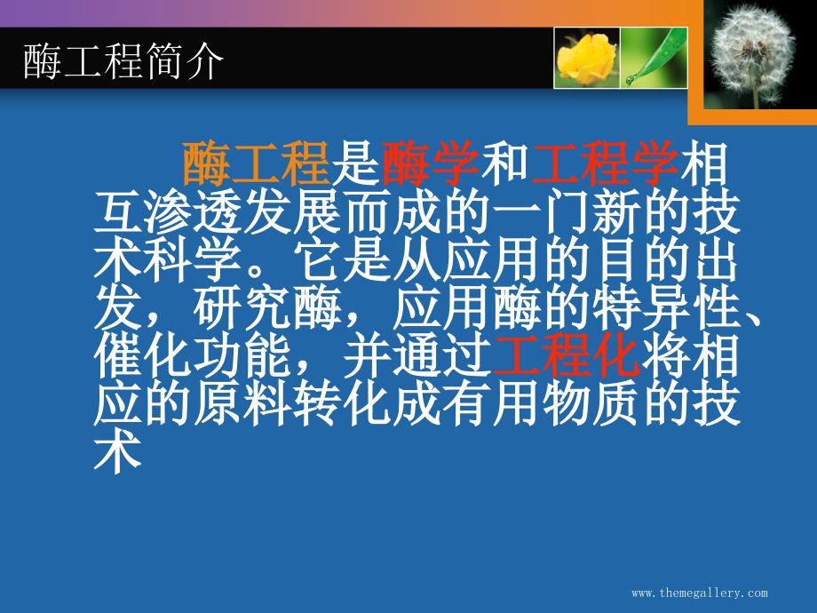 酶的固定化与在医药中的应用_第3页