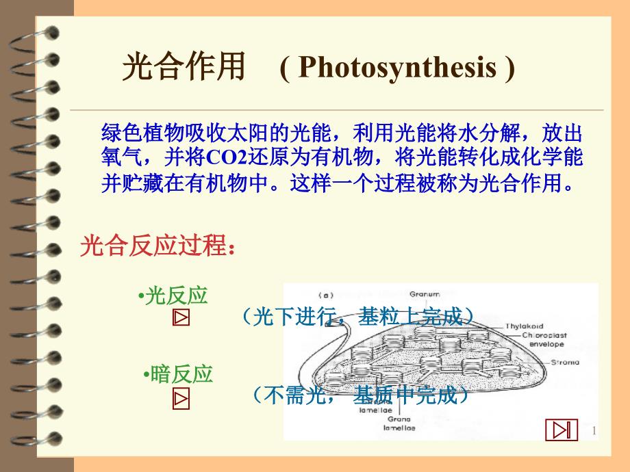 植物生理学 呼吸作用资料讲解_第1页