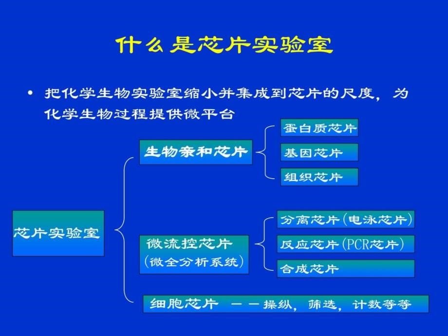 芯片实验室幻灯片资料_第5页