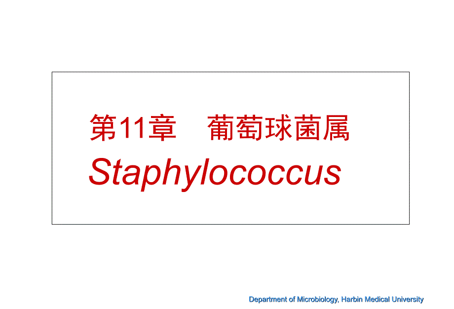 葡萄球菌属教学教案_第3页