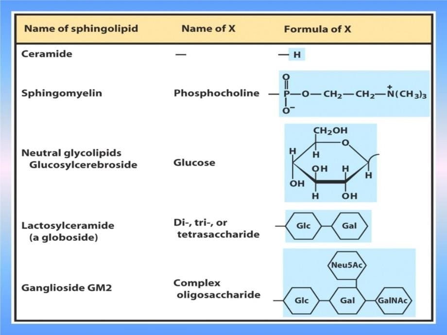 脂类和脂生物化学2培训教材_第5页