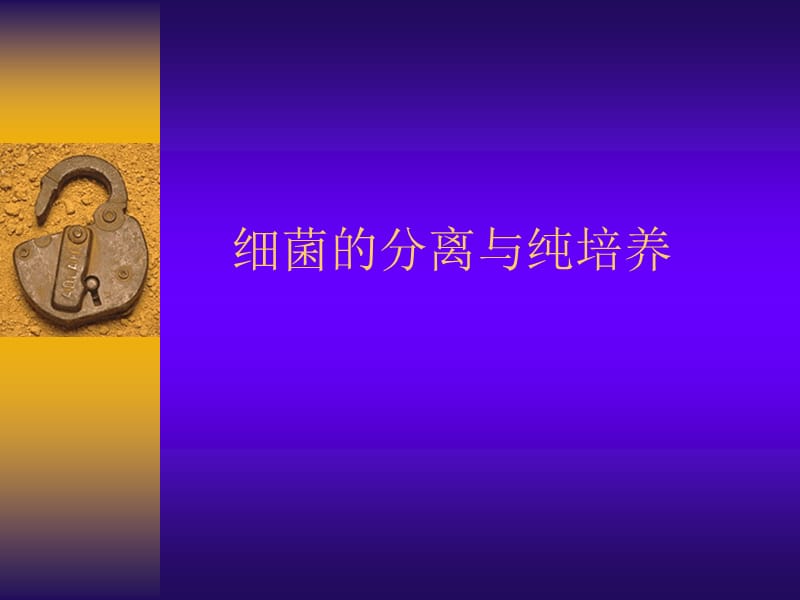 细菌分离与纯培养教学讲义_第1页