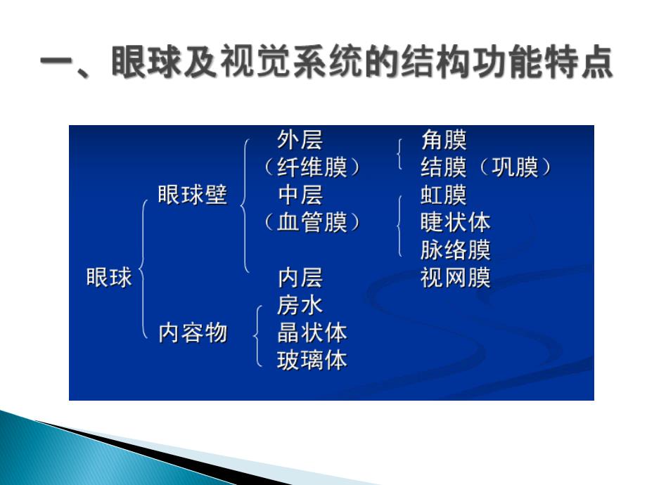 药物毒理学-药物对眼的毒性作用教材课程_第3页