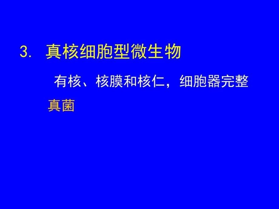 微生物学总论知识分享_第5页