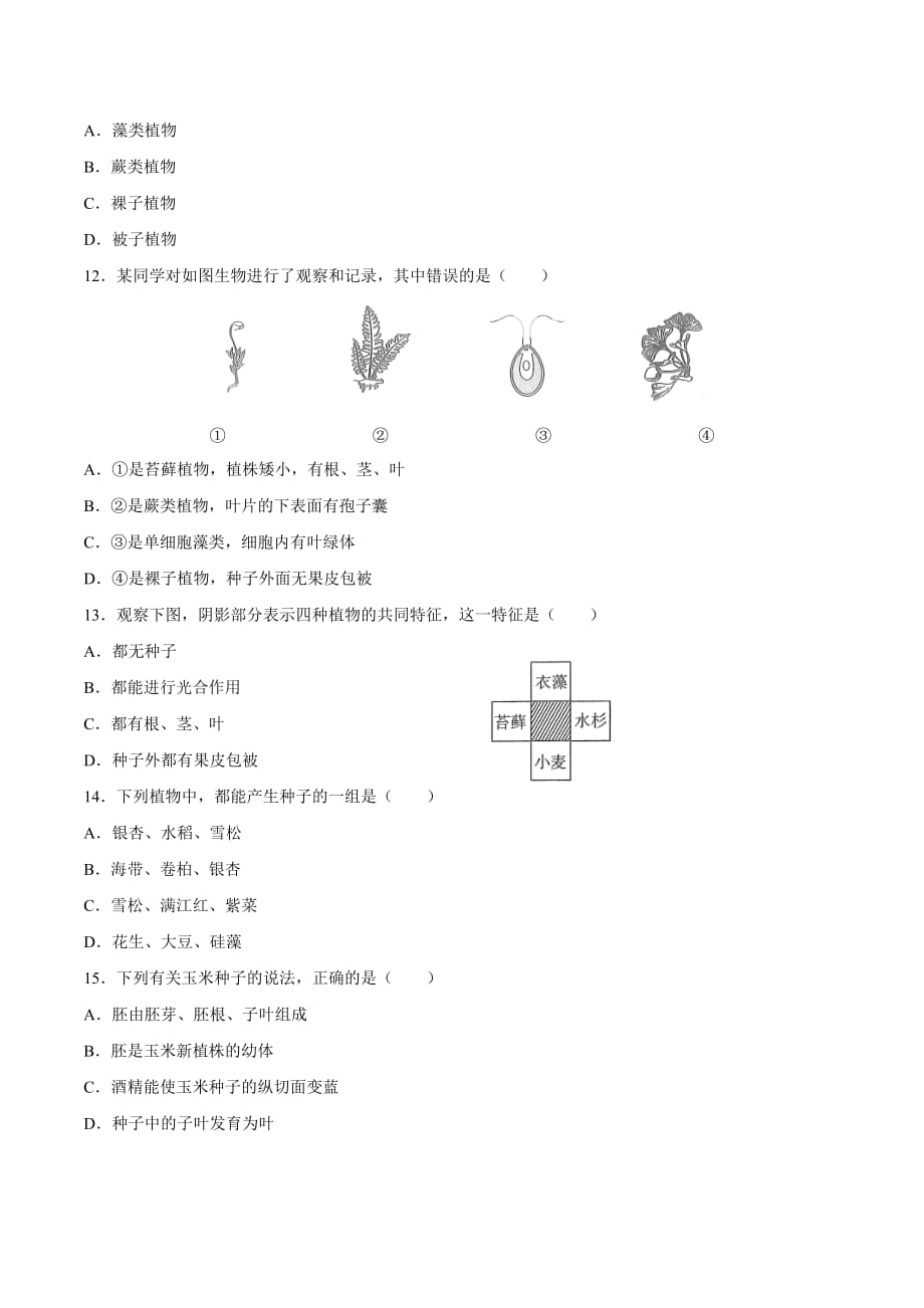 人教版七年级生物上册 第三单元第一章《生物圈中有哪些绿色植物》测试卷02含答案_第3页