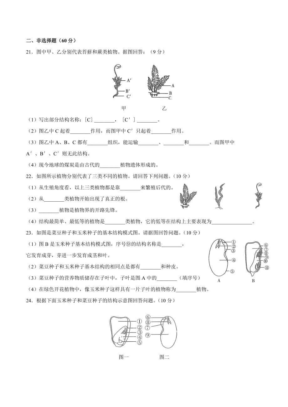 人教版七年级生物上册 第三单元第一章《生物圈中有哪些绿色植物》测试卷02含答案_第5页