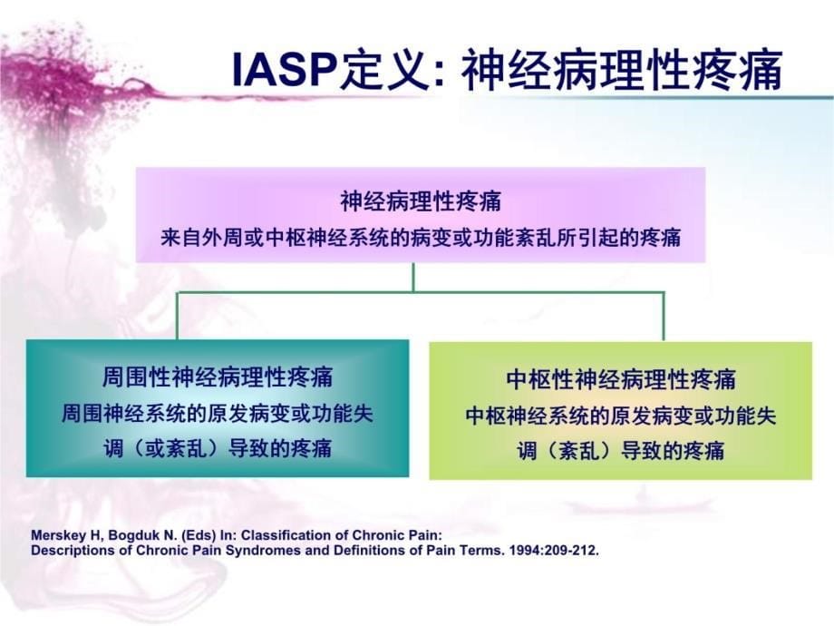 神经病理疼痛治疗进展普瑞巴林Pregabalin教学教案_第5页