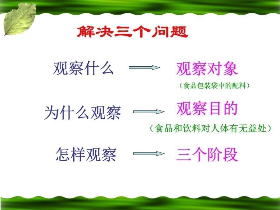 食品营养与人体健康观察法的运用西关中学张霞教学案例_第5页