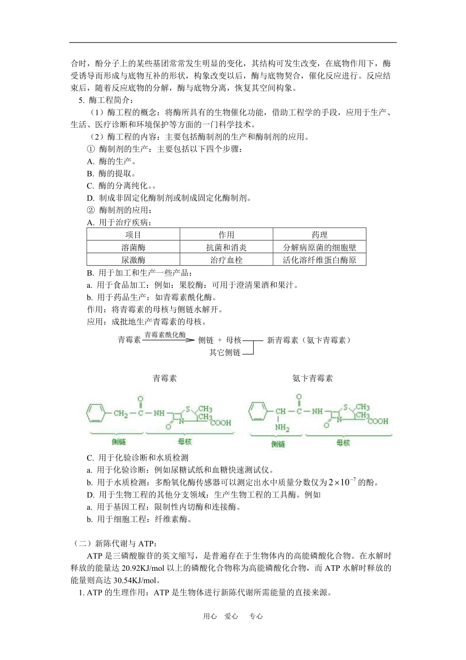 高二生物必修第一册第三章第一节新陈代谢与酶；第二节新陈代谢与ATP 人教版.doc_第4页