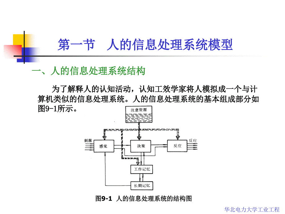 人因工程学第9章 人的信息处理系统_第3页