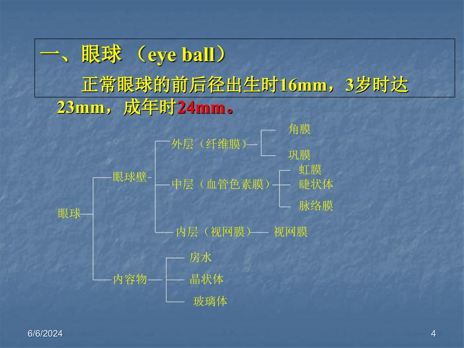 眼科学基础(哈尔滨医科大学)培训讲学_第4页