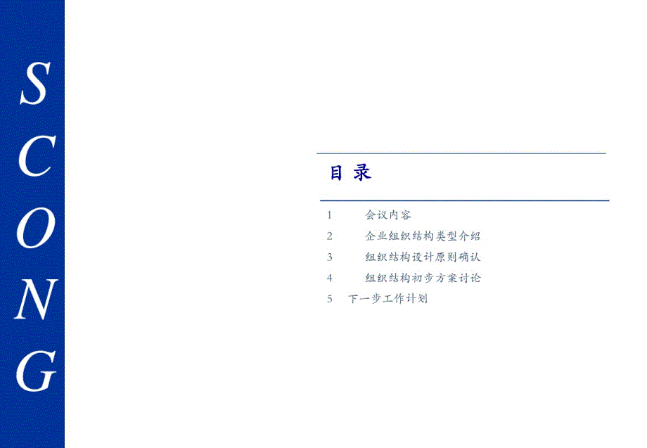 最新PWC-四川鸿达-集团公司组织结构设计报告_第2页