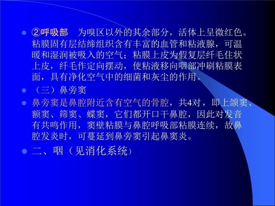 组织学与解剖学 呼吸系统幻灯片资料_第5页