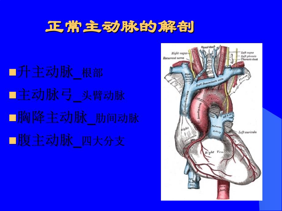 主动脉疾病的治疗进展与挑战刘永民知识课件_第2页