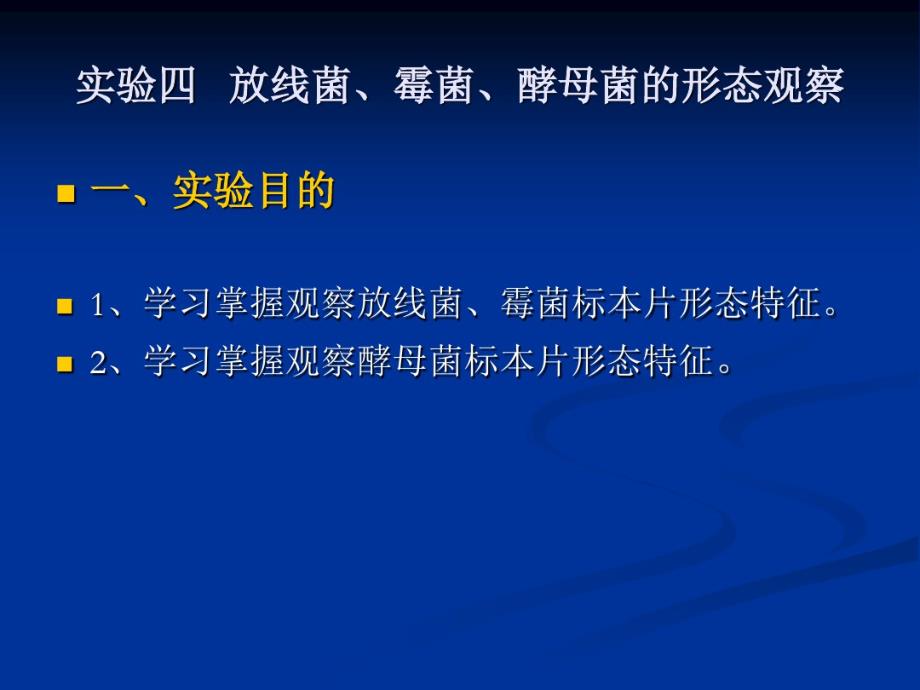 最新放线菌、霉菌、酵母菌的形态观察_第2页