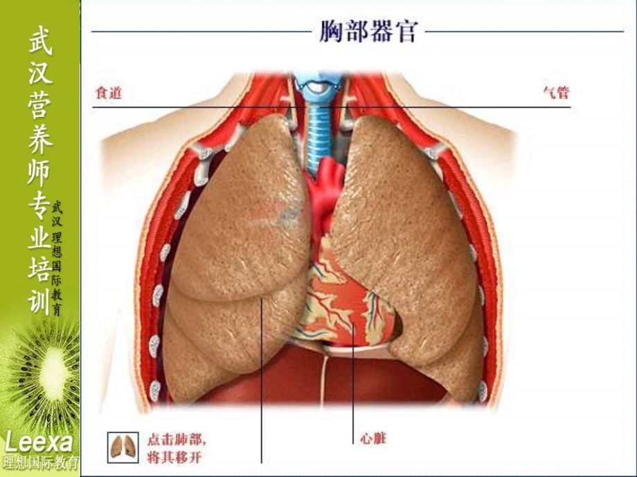 营养与常见病知识课件_第3页