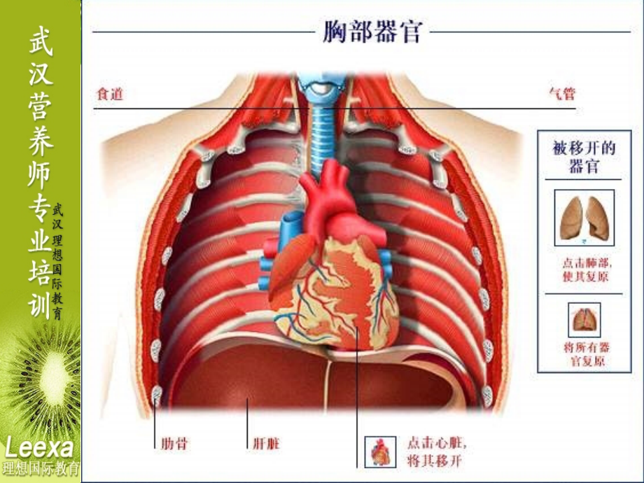 营养与常见病知识课件_第4页