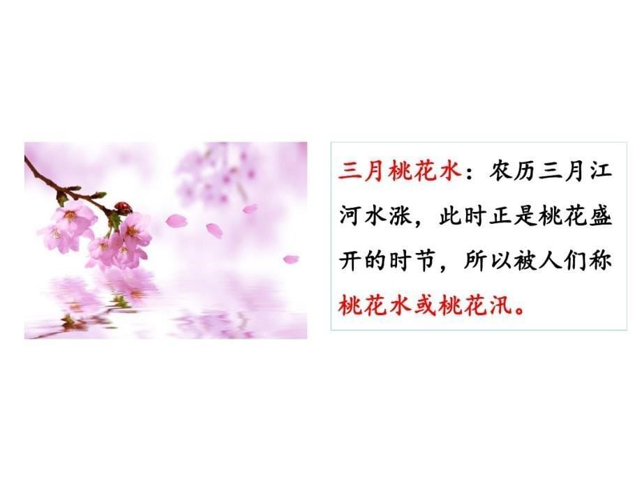 最新三月桃花水word版本_第5页