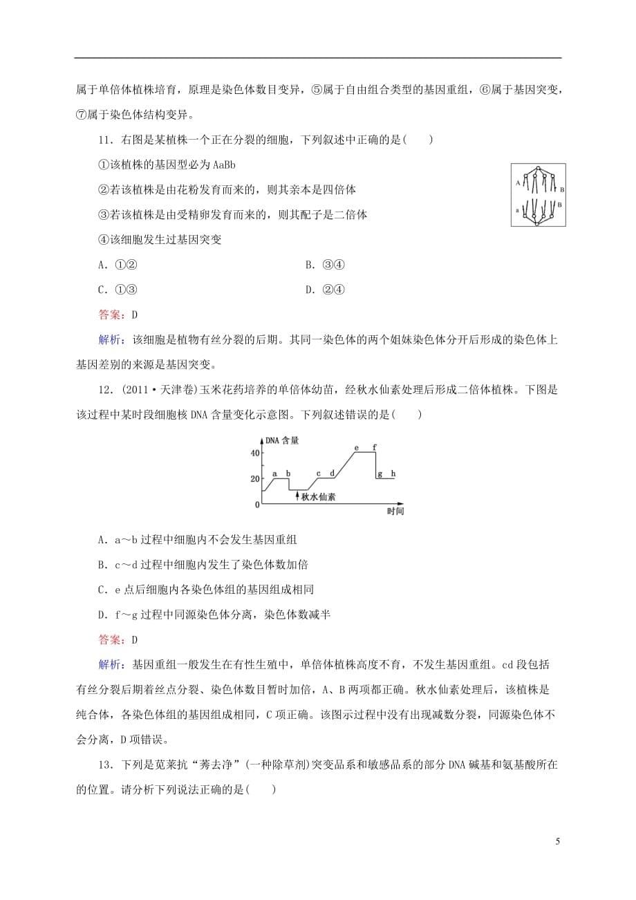 【状元之路】2014高考生物一轮总复习 第21讲 生物的变异类型试题（含解析）新人教版必修2.doc_第5页