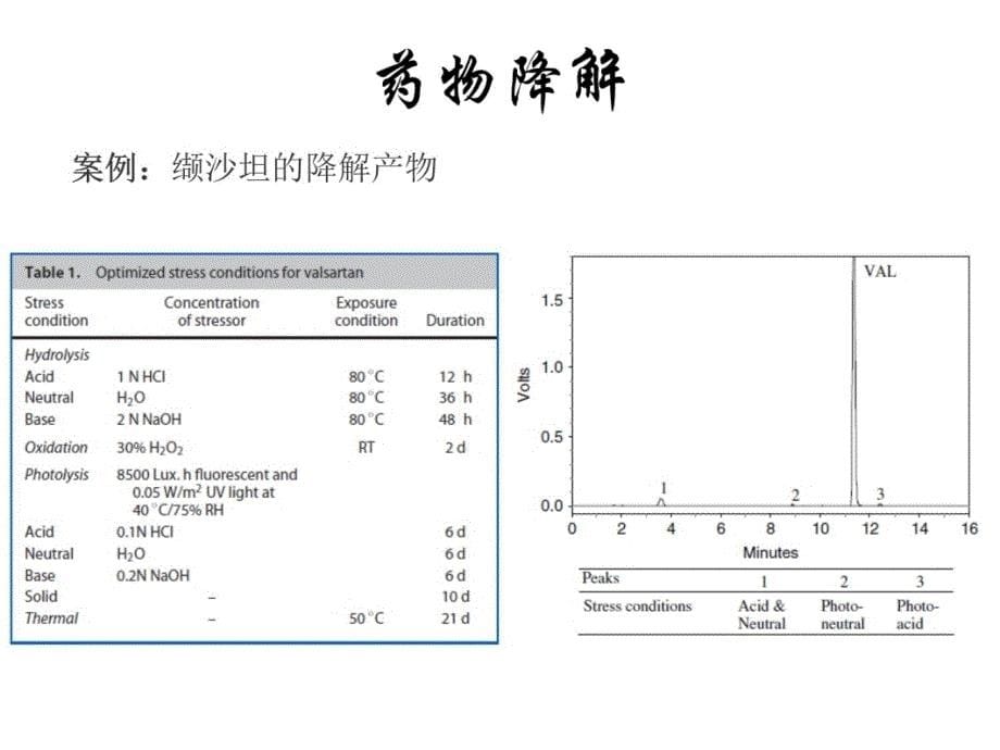 药物降解途径及机理分析研究报告_第5页