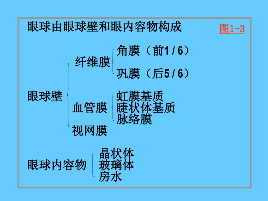 眼和耳(眼)幻灯片资料_第3页