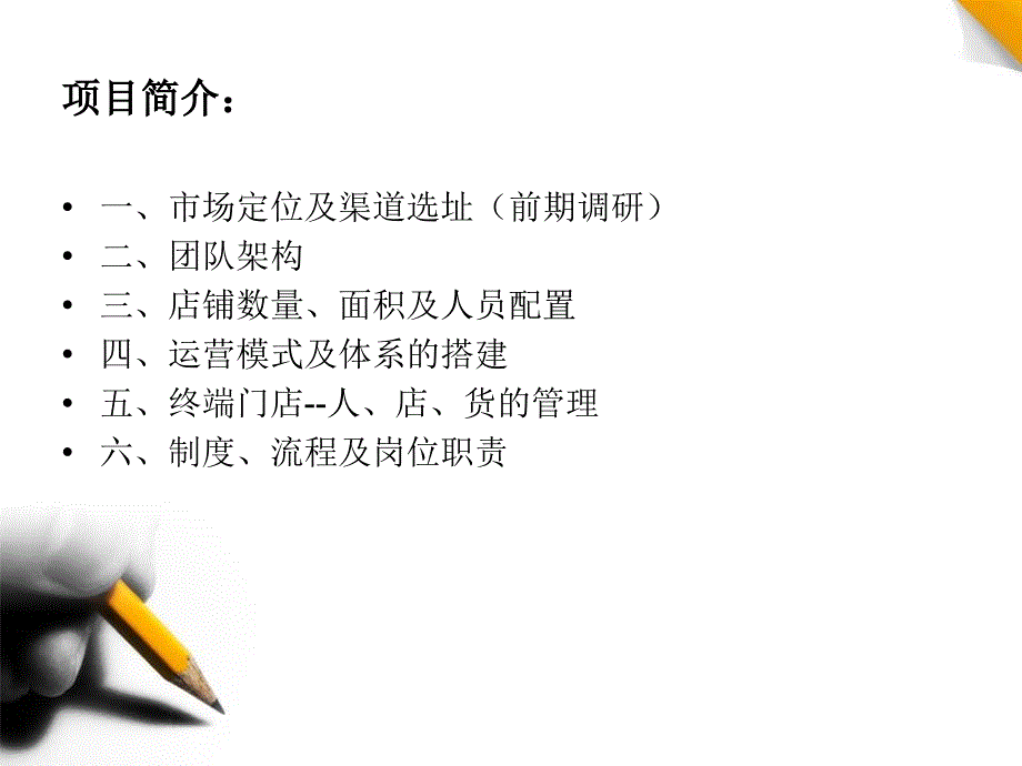 直营店运营方案_第2页