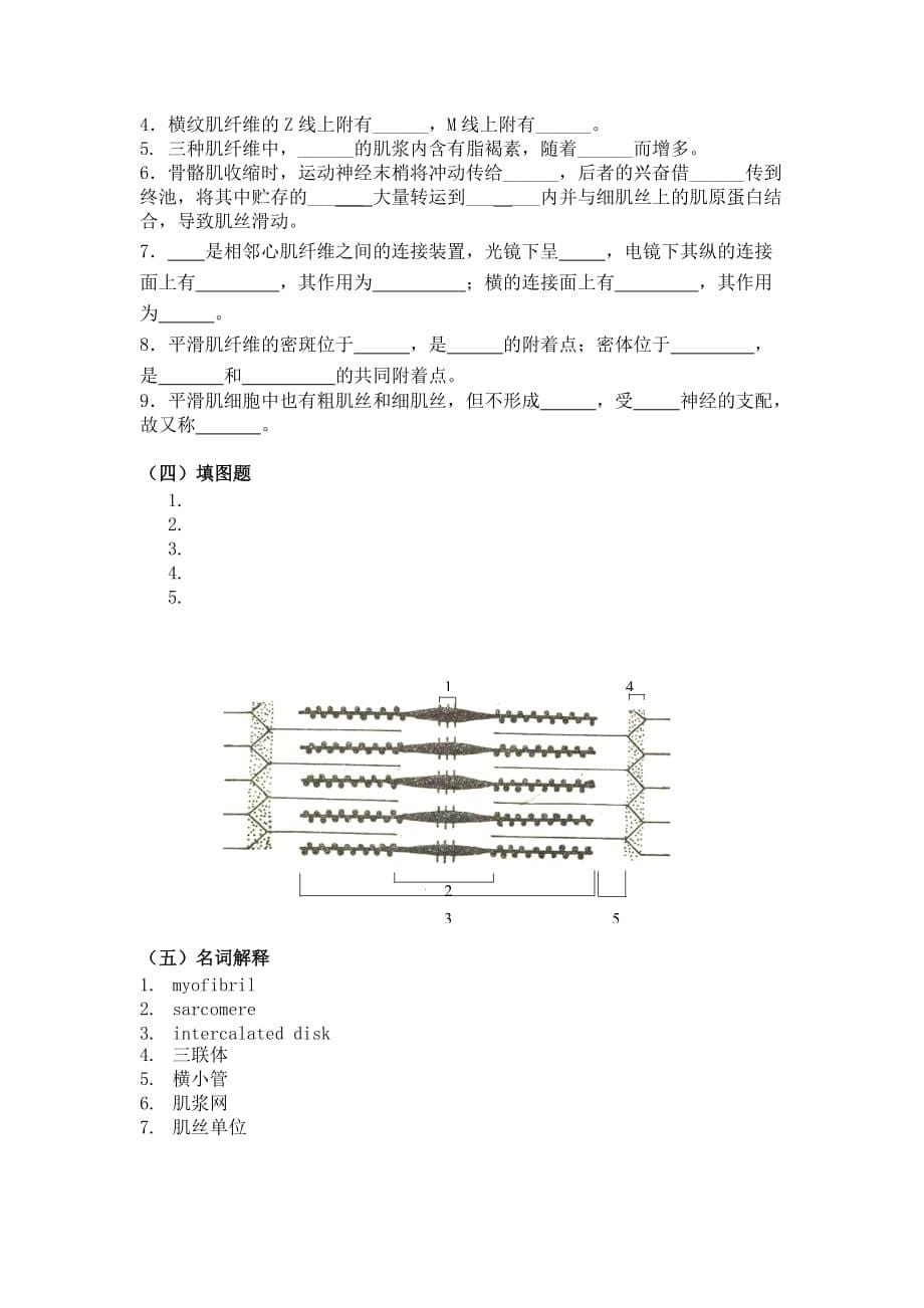 肌组织测试题.doc_第5页