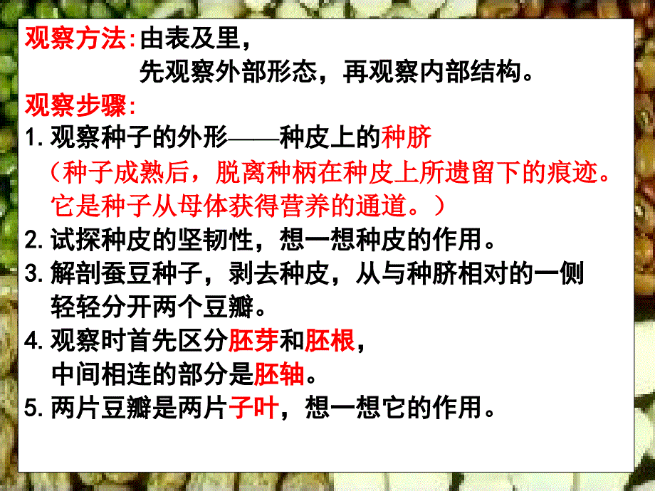 人教版三年级下册科学科《是什么在影响植物生长》_第3页